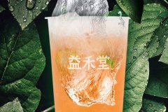 茉莉奶白奶茶加盟费不是阻碍，小成本满足创业多重需求