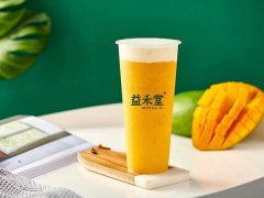 成都茉莉奶白奶茶值得加盟吗？2021不可错