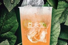 创业再也不用担心有风险,茉莉奶白奶茶潮